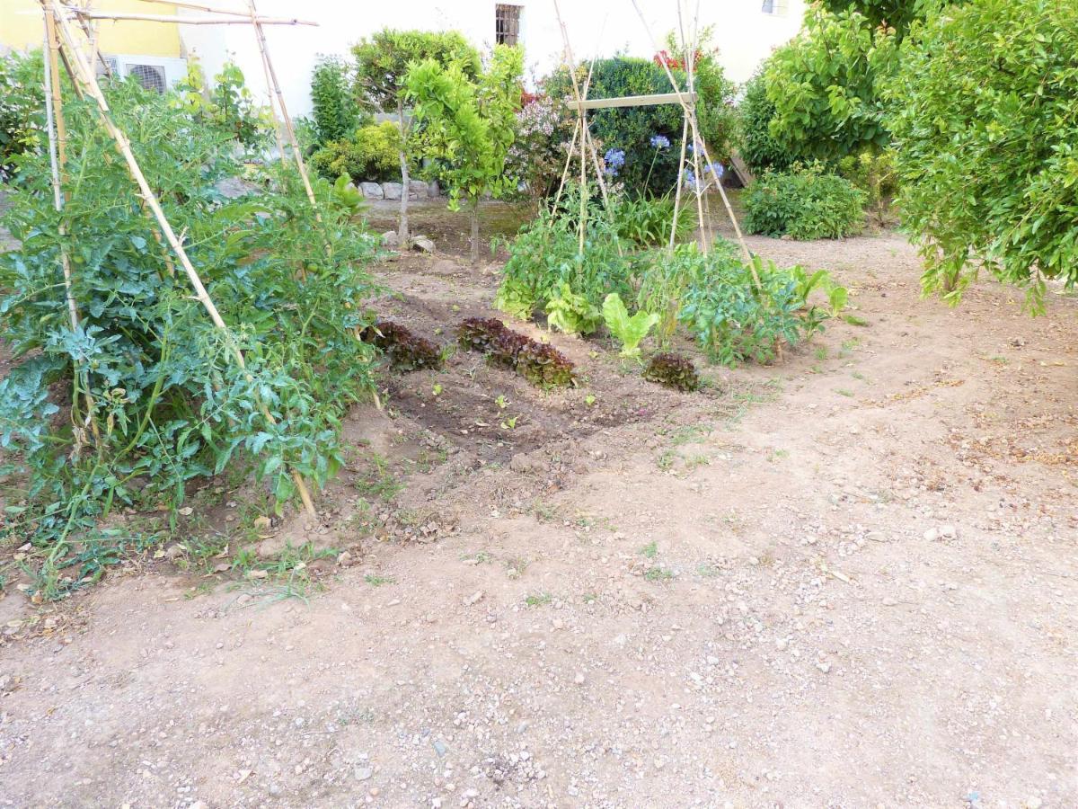 Hort De La Cinteta Villa Alcover Ngoại thất bức ảnh