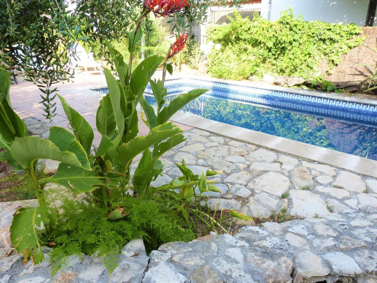 Hort De La Cinteta Villa Alcover Ngoại thất bức ảnh