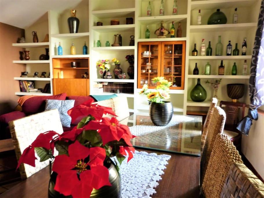 Hort De La Cinteta Villa Alcover Ngoại thất bức ảnh